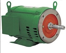 WEG Motor 00736OT3E184JM