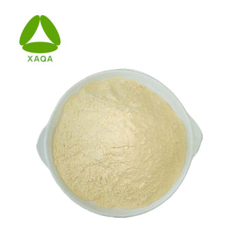 Vegetable Fruit Enzyme Cellulase Powder 9012-54-8