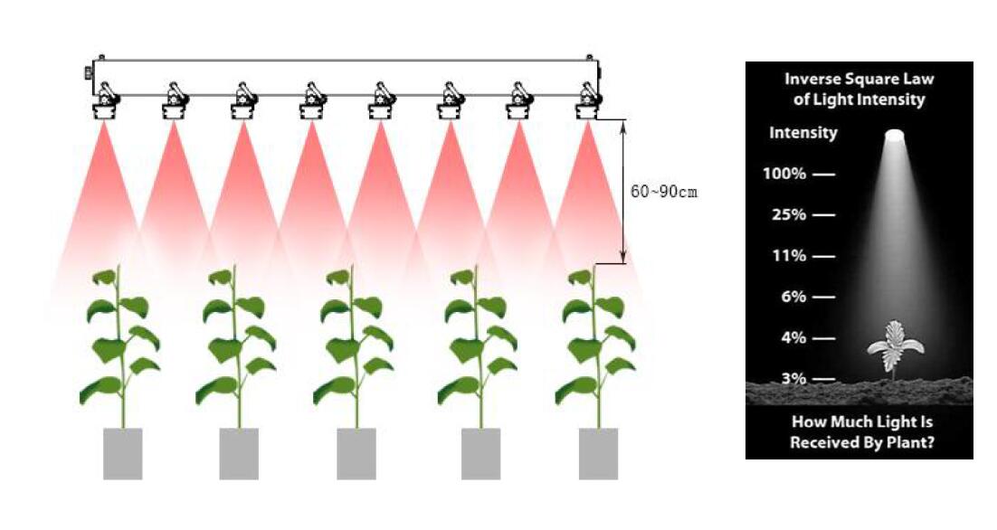 LED plant growth light