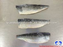 herring frozen seafood