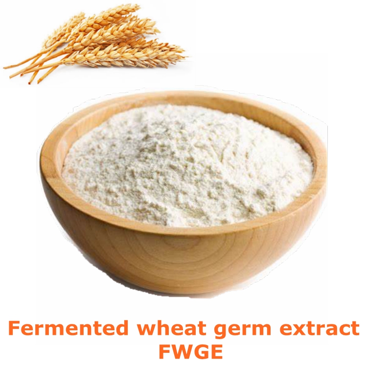 Fermented wheat germ extract powder