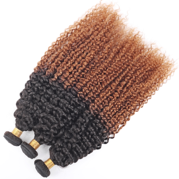 T1b/30 Color Jerry Curly Brazilian Hair Bundles With Closure Vendors Cuticle Aligned Virgin Human Hair Wholesales Extension