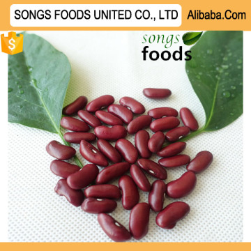 Red Kidney Beans Import and Red Kidney Beans Price