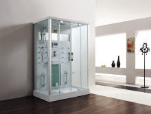 Computer Controlled Moist Steam Shower Room