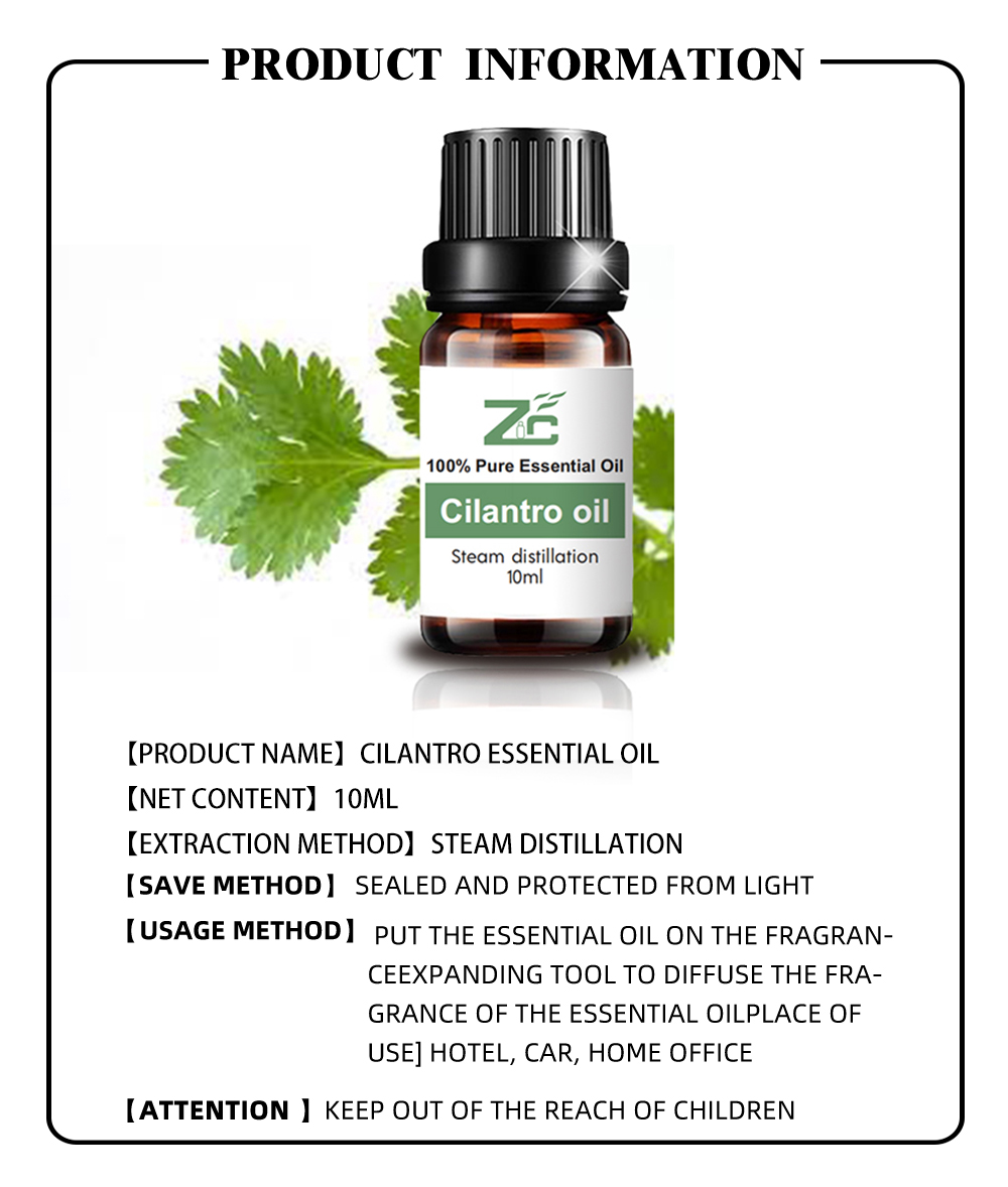 Cilantro Essential Oil Natural Essential Oils