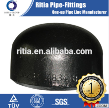 ANSI/ASME B16.9 din40 jis carbon steel screw cap