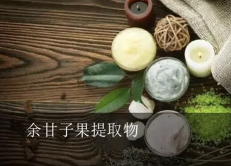 Порошок экстракта Эмблики лекарственной Emblica Officinalis Extract Powder