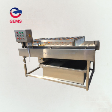 Mung Bean Sprot Washing Machine Soybean Washer