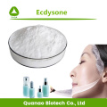 Cyanotis Arachnoidea Extrait Ecdysterone 80%-98% Poudre