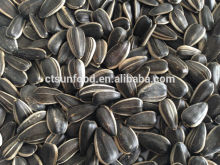 sunflower seeds market price black sunflower seeds export sunflower seeds