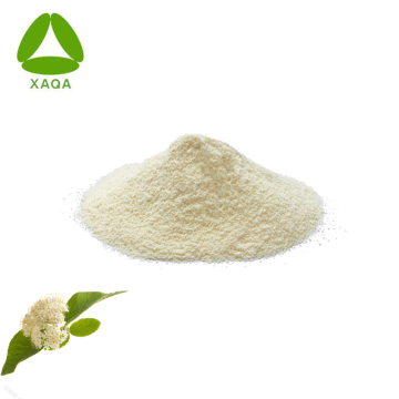 Natural Pure Elderberry Flower Extract Powder 10:1