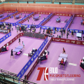 Настольный теннис Enlio Сертификация ITTF Спортивные полы из ПВХ