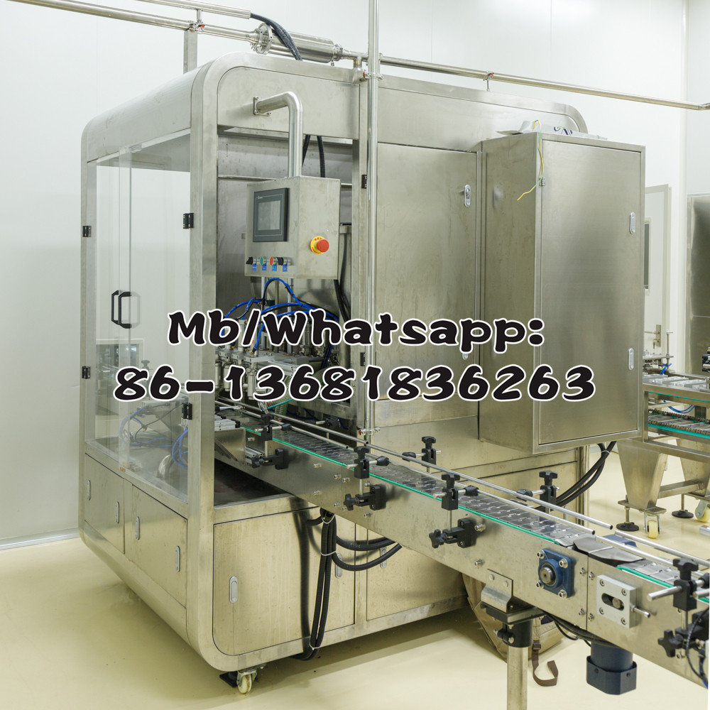 Liquid Paste Bag-given Automatic Packing Machine