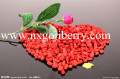 Fornecedor de Goji berries