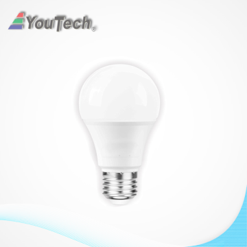 6000K Cool White  A19 LED Light Bulb