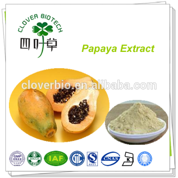 High quality Papaya Extract papain extract