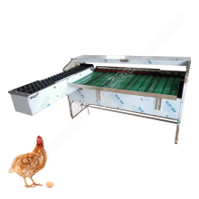 Egg Weighing and Grading Machine: Industrial Egg Cleaning and Grading Equipment