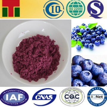 Organic Blueberry Powder