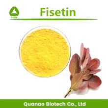 Pharmazeutische Rauchbaum-Extrakt Fisetin 98% HPLC-Pulver