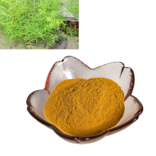manufactory  suppy natural Asparagus Cochinchinensis Extract Powder/Lucid Asparagus Extract