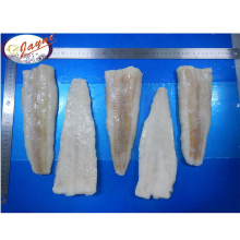 Fresh Frozen Hake Whole Fish Frozen Hake Fish Fillet Hake