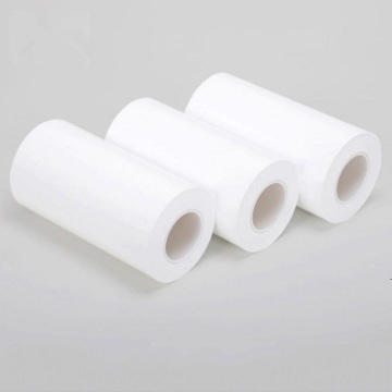 export polypropylene film plastic PP sheet