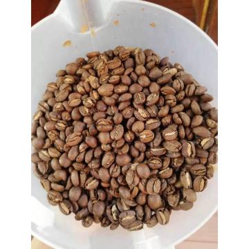 En iyi Arabica kavrulmuş kahve çekirdekleri