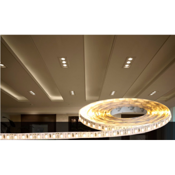 Waterproof 220V led strip light SMD2835