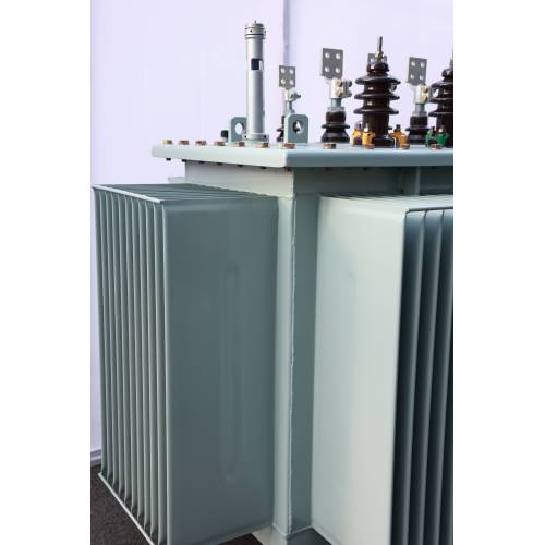 Excellent S11 Oil Transformer