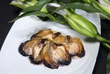 Frozen Mussel Meat Frozen Cooked Mussel