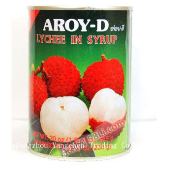 Canned Fresh lychee / lichee / litchi in the best crop- best discount