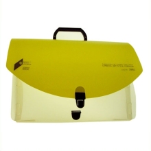 Plastic Portfolio, File Folder, Document Bag
