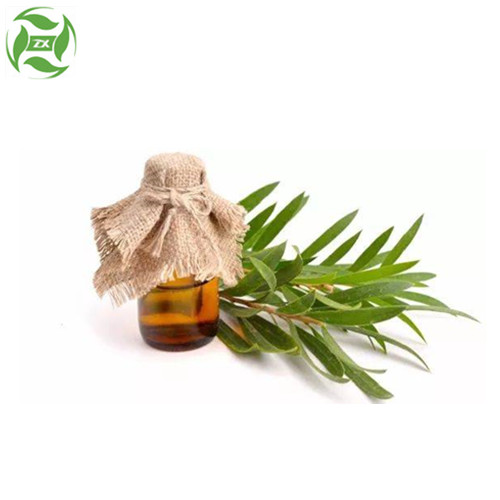 OEM ODM 100% Pure Tea Tree Oil