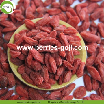 Factory Supply Fruit Nutrition Dried Fruits Goji Berries