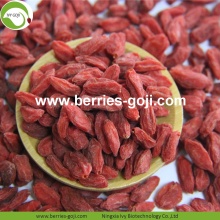 Bekalan Kilang Buah Pemakanan Buah-buahan kering Goji Berries