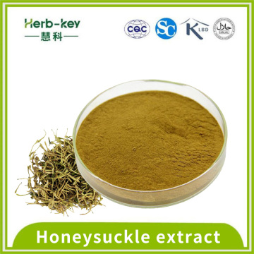 Antibacterial honeysuckle extract 5% chlorogenic acid