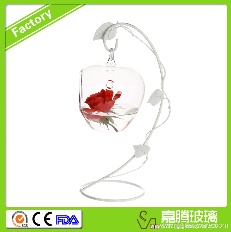 Hanging Glass Apple Shape Orb for all green plants