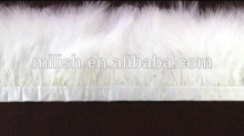 Garment ornament Largo zona plumas white feather collar strip MW-0190