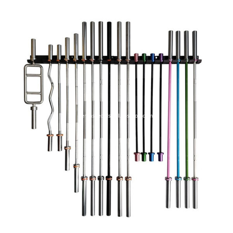 barre d'haltères 20kg barbell bar 20kg