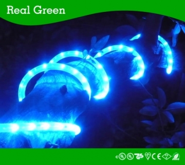 2-Wire Standard Blue LED Rope Light