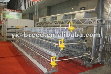 Pullet Chicken Rearing Cage