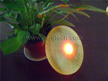 LED Illuminated Frisbee