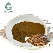Cordyceps Extract 50% Polysaccharide Powder