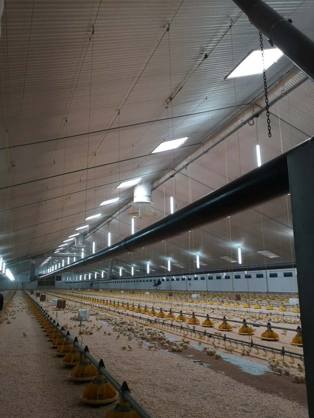 Support for External 0-10V/Triac Central Control System LED Dimmer for Poultry Farm
