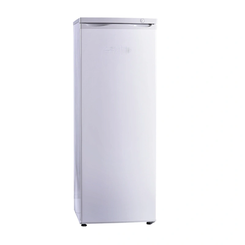 Hot Selling Manual Defrost Food Freezing Deep Upright Freezer with Drawers