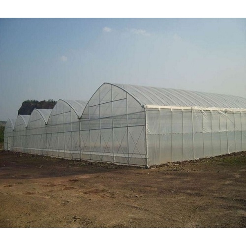 Tunnel Plastic Film Greenhouse For Growing Vegetables