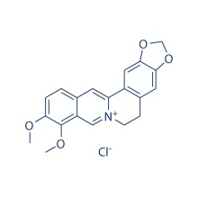 Berbérine HCl 633-65-8