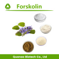 Экстракт Coleus Forskohlii для похудания, форсколин 1% -98%