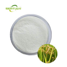 Organic or Natural Rice Bran Extract Powder