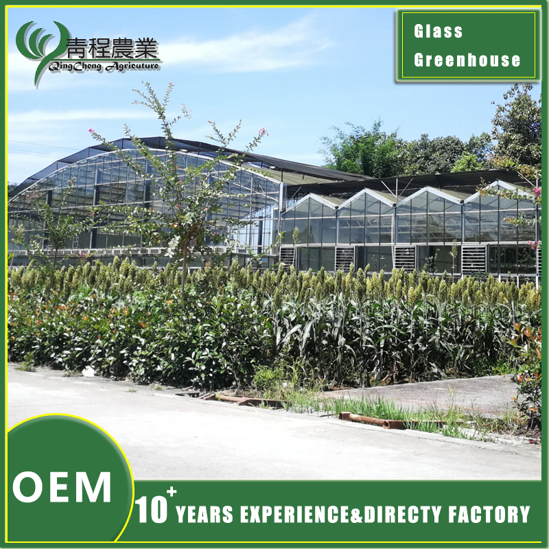 Шкляная цяпліца з зацяняючымі сістэмамі Glass Greenhouse With Shade Systems